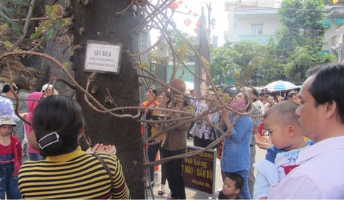 TPHCM: Sáng mồng 1 Tết, lên chùa ăn chay - ảnh 8